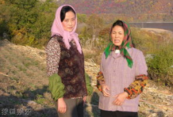 高粱红电视剧,烽火岁月里的青春传奇